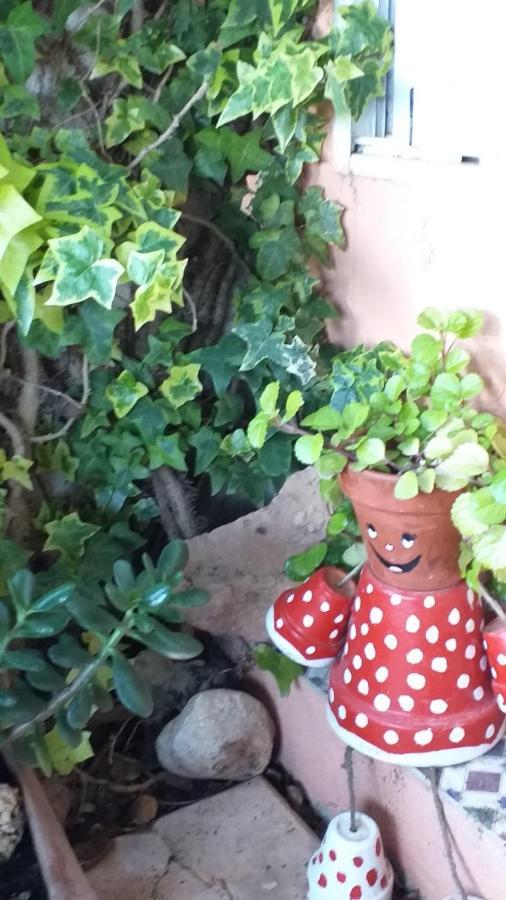 La Casita De La Playa Daire Gran Alacant Dış mekan fotoğraf